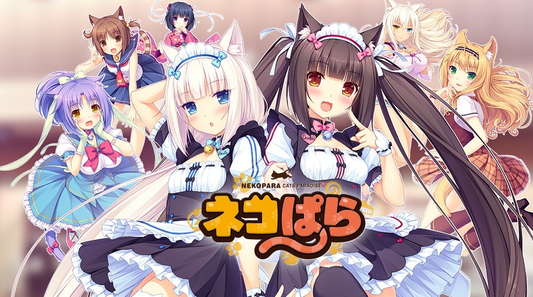 [NEKO WORKs] ネコぱら vol.1 ソレイユ開店しました！
